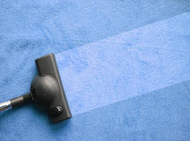Professional carpet cleaning services